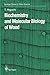 Biochemistry and Molecular Biology of Wood (Springer Series in Wood Science)