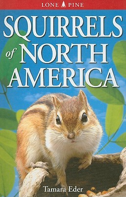 Squirrels of North America (Paperback)