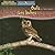 Owls Are Night Animals/Los Buhos Son Animales Nocturnos (Night Animals/ Animales Nocturnos) (Spanish and English Edition)