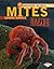 Mites: Master Sneaks (Arachnid World)