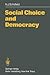 Social Choice and Democracy