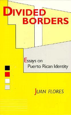Divided Borders: Essays on Puerto Rican Identity (Paperback)