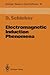 Electromagnetic Induction Phenomena (Springer Series in Electronics and Photonics)