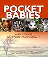 Pocket Babies by Sneed B. Collard