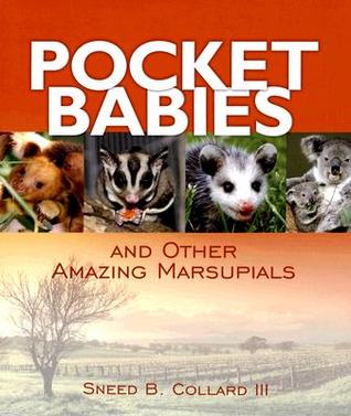 Pocket Babies And Other Amazing Marsupials (Hardcover)