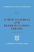 Schur Algebras and Representation Theory