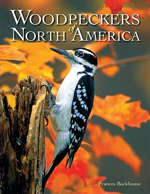 Woodpeckers of North America (Hardcover)