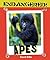 Apes (Endangered!)