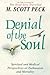 Denial of the Soul : Spiritual and Medical Perspectives on Euthanasia and Mortality