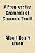 A Progressive Grammar of Common Tamil
