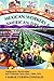 Mexican Workers and the American Dream: Immigration, Repatriation, and California Farm Labor, 1900-1939 (Class and Culture)