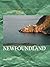 Newfoundland