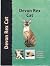 Devon Rex Cat