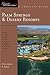 Explorer's Guide Palm Springs & Desert Resorts: A Great Destination (Explorer's Great Destinations)