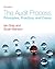 The Audit Process: Principles, Practice and Cases
