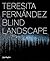 Teresita Fernández: Blind Landscape
