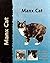 Manx Cat