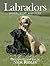 Labradors by Nick Ridley