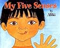 My Five Senses Big Book