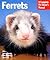 Ferrets: Everything About H...