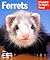 Ferrets by E. Lynn Morton