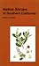 Native Shrubs of Southern California by Peter H. Raven