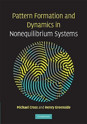 Pattern Formation and Dynamics in Nonequilibrium Systems (Hardcover)