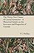 The Thirty-Two Classes of Crystal Symmetry - A Historical Art... by F.C. Phillips