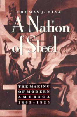 A Nation of Steel: The Making of Modern America, 1865-1925 (Johns Hopkins Studies in the History of Technology, 7)