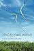 The Flying House by Dawn-Michelle Baude