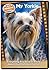 My Yorkie: Everything You Need to Know about Your Yorkshire Terrier