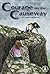 Courage on the Causeway (Cover-To-Cover Novels: Adventure)
