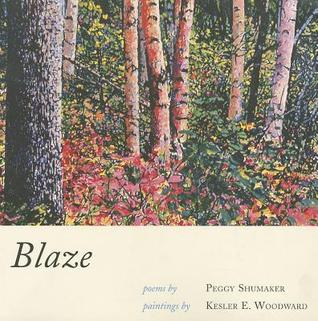 Blaze (Paperback)