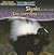 Skunks Are Night Animals / Los Zorrillos Son Animales Nocturnos (Night Animals / Animales Nocturnos) (Spanish Edition)