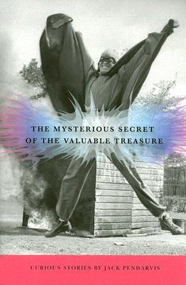 The Mysterious Secret of the Valuable Treasure (Paperback)