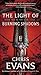 The Light of Burning Shadows (Iron Elves, #2)