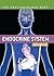 Endocrine System (The Amazing Human Body)