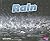 Rain (Pebble Plus)