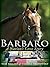 Barbaro by Tom Philbin