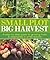 Small Plot, Big Harvest: A ...