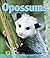 Opossums (Early Bird Nature Books)