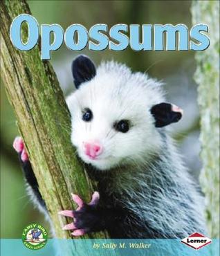 Opossums (Early Bird Nature Books)