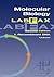 Molecular Biology LabFax: Recombinant DNA (Volume 1) (LabFax, Volume 1)