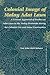Colonial Image of Malay Adat Laws: A Critical Appraisal of Studies on Adat Laws in the Malay Peninsula during the Colonial Era and Some Continuities (Social Sciences in Asia, 6)