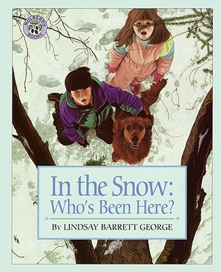 In the Snow: Who's Been Here? (Paperback)