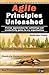 Agile Principles Unleashed: Proven Approaches for Achieving Real Productivity Gains in Any Organisation