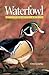 Waterfowl of Eastern North America by Chris G. Earley