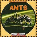 Ants