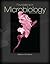 Foundations in Microbiology by Kathleen Park Talaro