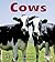 Cows (First Step Nonfiction...